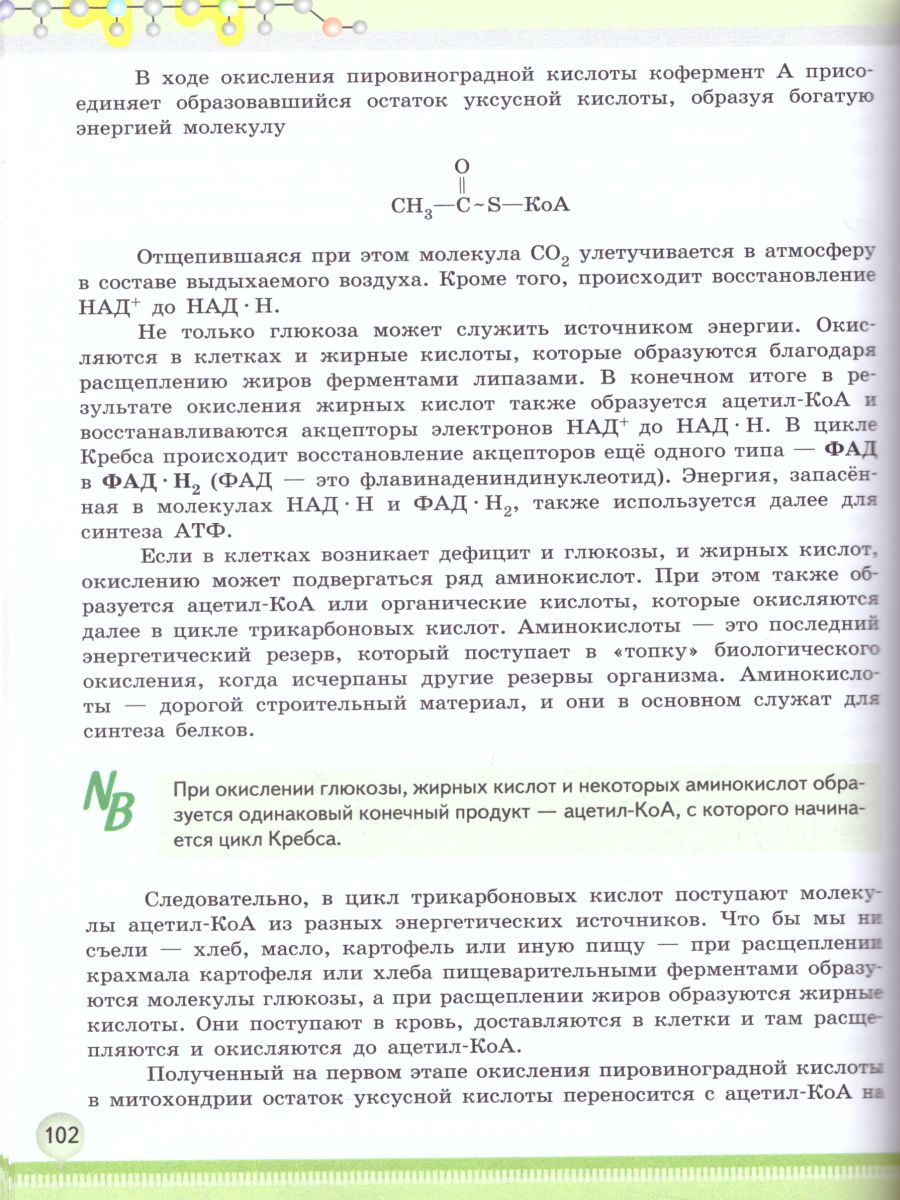 Обложка книги Биология 10 класс. Углублённый уровень. Учебное пособие. В 2-х частях. Часть 1, Автор Высоцкая Л.В. Дымшиц Г.М. Рувинский А.О., издательство Просвещение | купить в книжном магазине Рослит