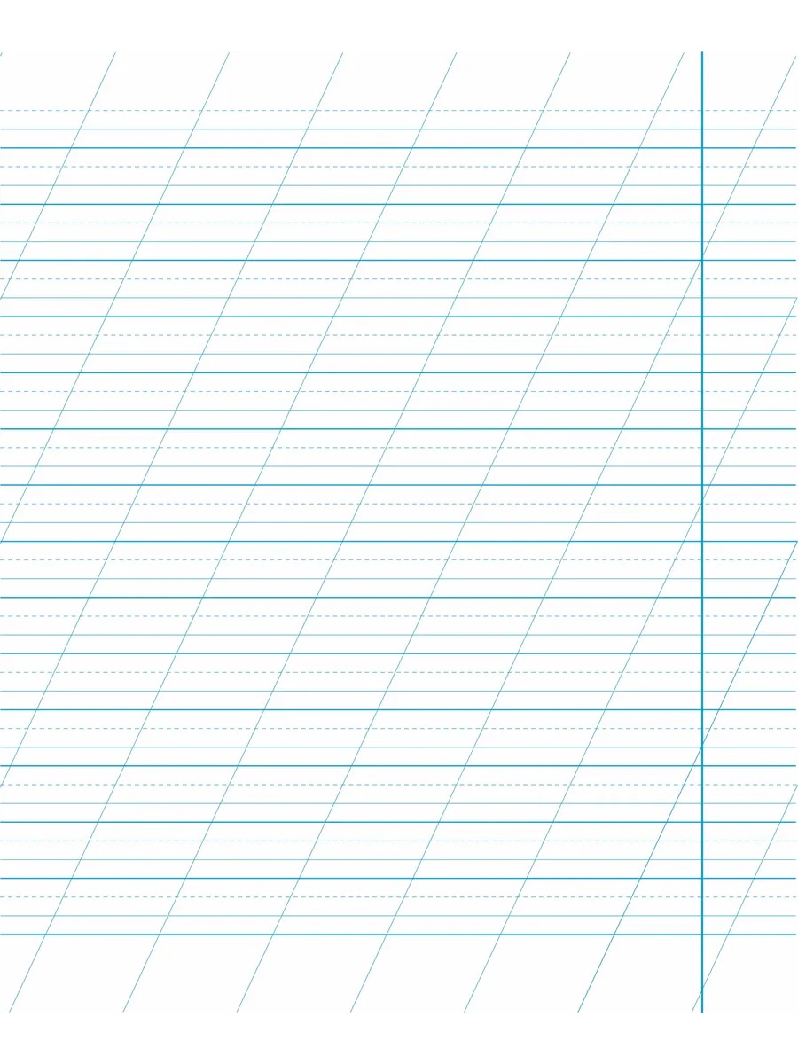 Обложка Набор тетрадей "Легко писать красиво!", редкая косая линия, 12 л, 50 шт (Мазина В.Д) от магазина Рослит