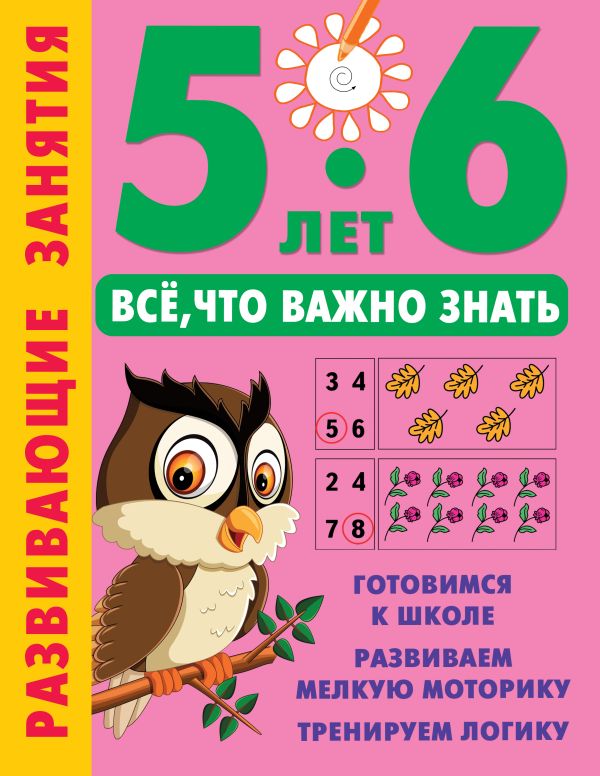 Обложка Развивающие занятия. Всё, что важно знать. 5-6 лет, издательство АСТ | купить в книжном магазине Рослит