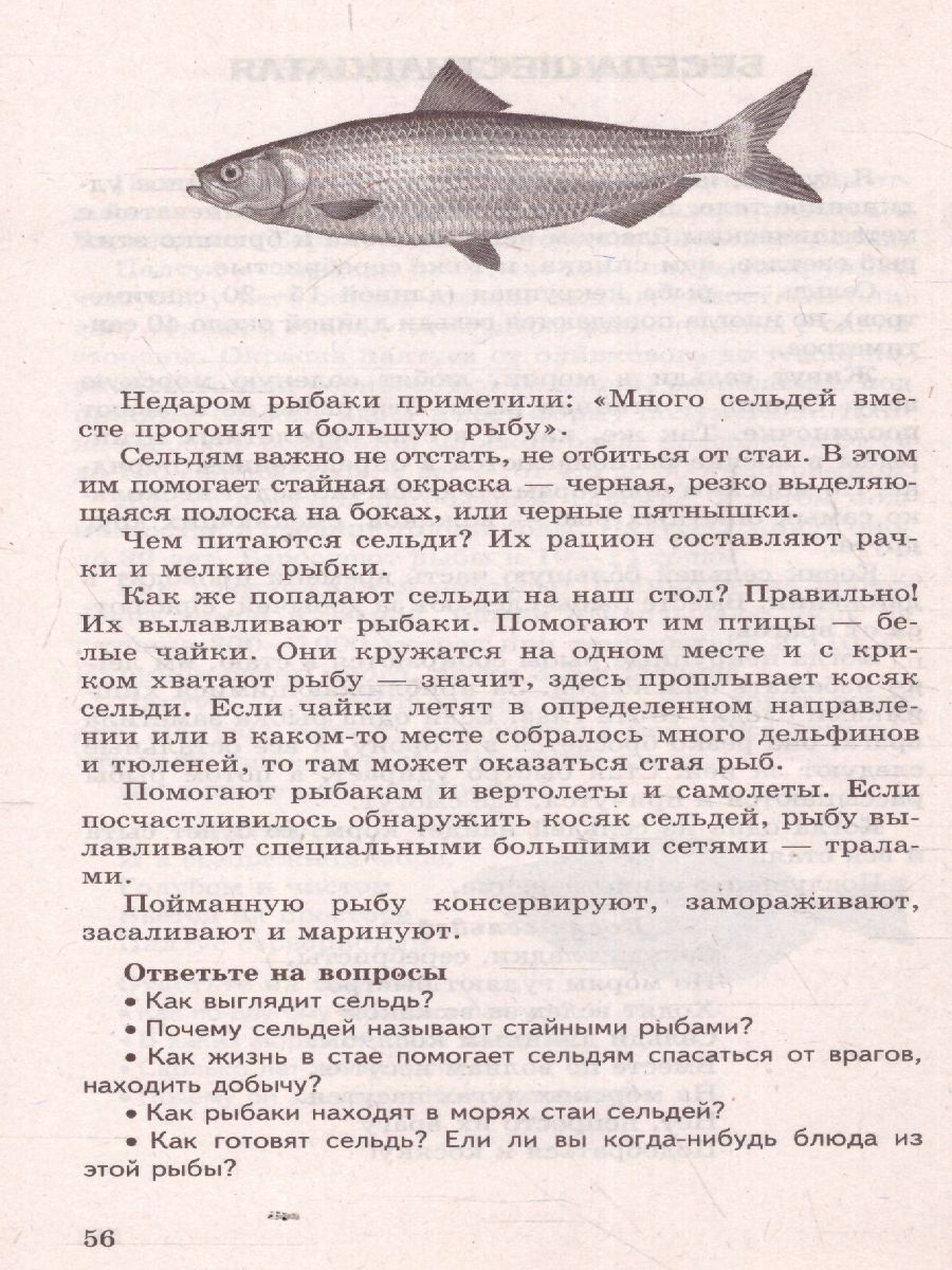 Обложка книги Беседы о мире морей и океанов, Автор Шорыгина Т.А., издательство Сфера | купить в книжном магазине Рослит