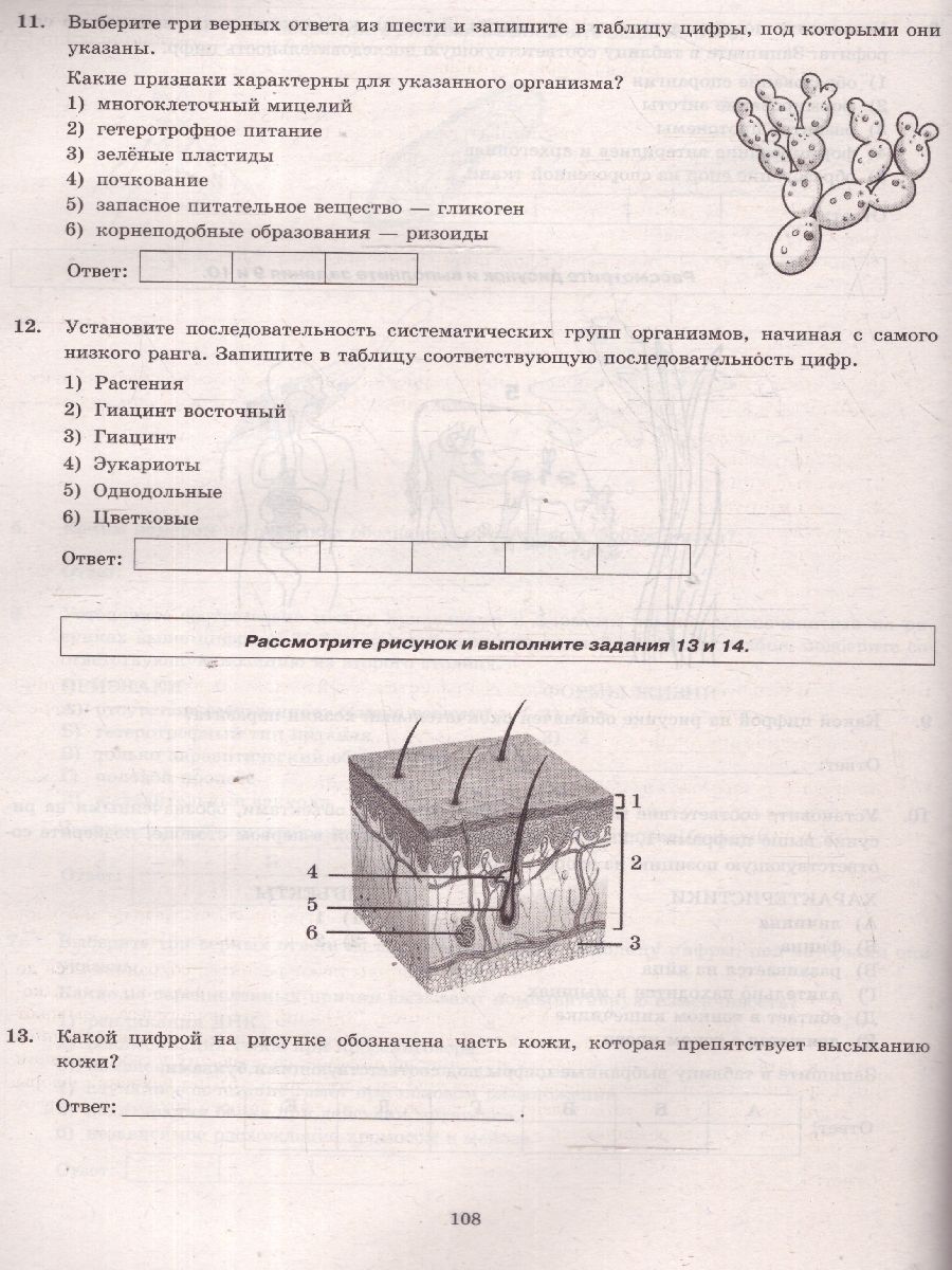 Обложка книги ЕГЭ 2025 Биология. Типовые варианты экзаменационных заданий. 12 вариантов. ФИПИ, Автор Мазяркина Т. В.; Первак С. В., издательство Экзамен | купить в книжном магазине Рослит