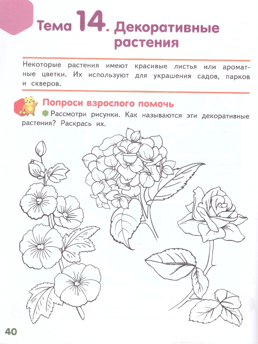 Обложка книги Знакомлюсь с растениями: развивающая тетрадь для детей подготов.группы ДОО (1-е полугодие). 6—7 лет, Автор Михайловская С.Н., издательство Мозаичный парк                                     | купить в книжном магазине Рослит