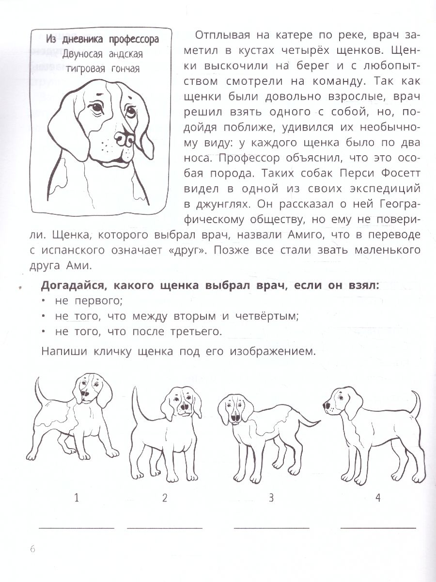 Обложка книги Развитие мышления и внимания у младших школьников, Автор Праведникова И.И., издательство Феникс ТД                                          | купить в книжном магазине Рослит