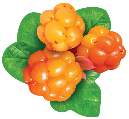 Обложка книги Вырубная фигурка Морошка М-14218 (УФ-лак)(Сфера), Автор М-14218, издательство Сфера | купить в книжном магазине Рослит