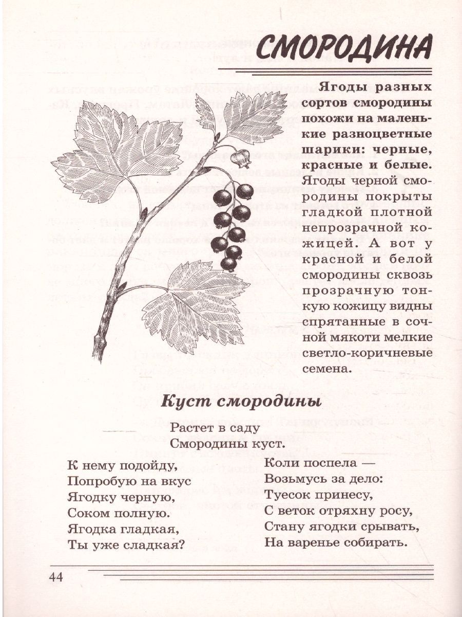 Обложка книги Ягоды. Какие они? Знакомство с окружающим миром, развитие речи, Автор Шорыгина Т.А., издательство ГНОМ | купить в книжном магазине Рослит