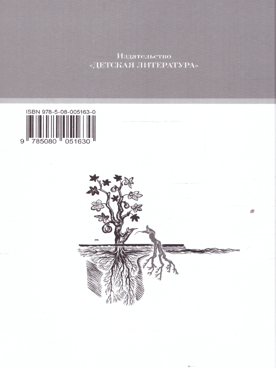 Обложка книги Анна Каренина Том 1 , Автор Толстой Л.Н., издательство Детская литература | купить в книжном магазине Рослит