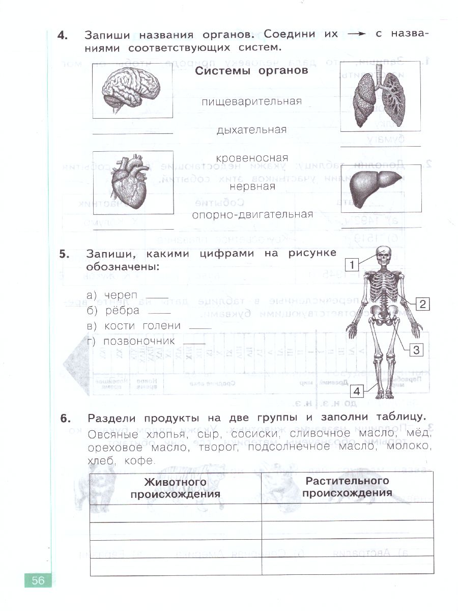 Обложка книги Дмитриева, Казаков Окружающий мир 4 кл. Тематический и итоговый контроль. Рабочая тетрадь (Бином), Автор Галяшина П.А., издательство Просвещение/Союз                                   | купить в книжном магазине Рослит