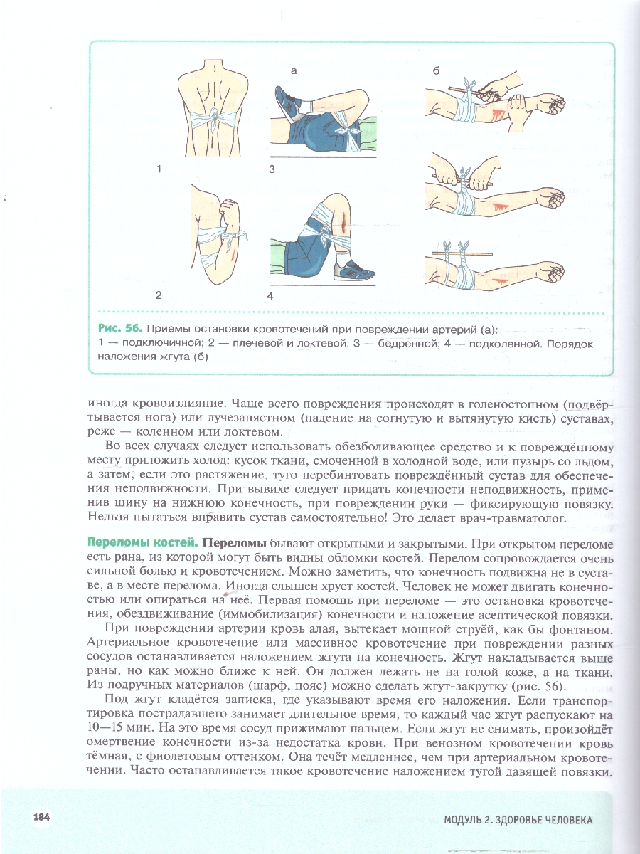 Обложка книги Шаг в медицину. Анатомия и физиология человека. Здоровье человека. Учебное пособие, Автор Арестова И. Ю. Бирюкова Н. В., издательство Просвещение | купить в книжном магазине Рослит