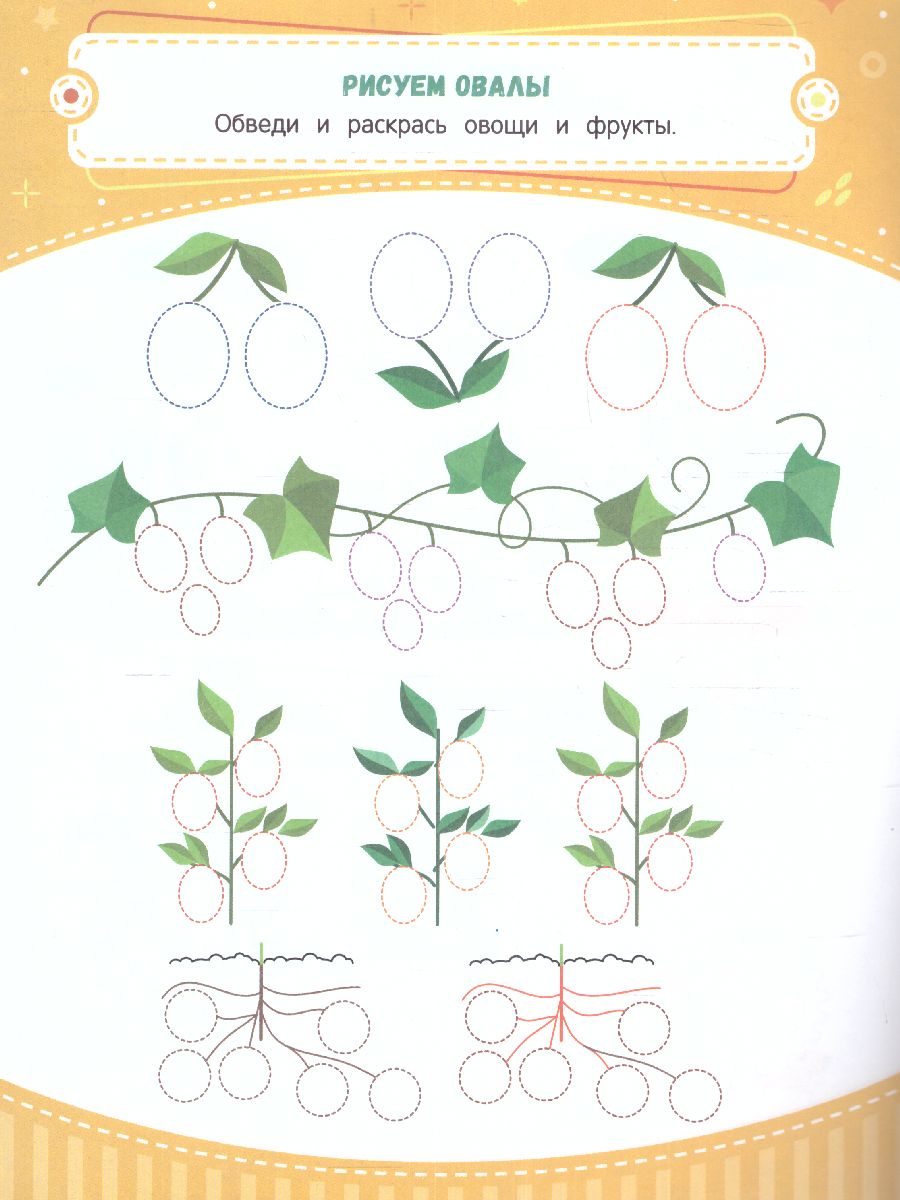 Обложка Тренажер по чистописанию от 4 до 5 лет. Прописи, издательство Феникс-Премьер                                     | купить в книжном магазине Рослит