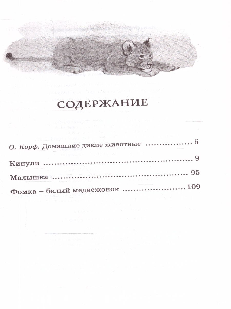 Обложка Фомка - белый медвежонок. Чтение - лучшее учение, издательство Махаон | купить в книжном магазине Рослит