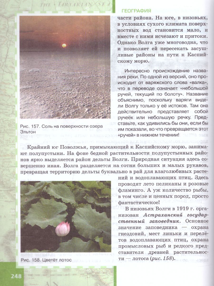 Обложка книги Домогацких География  8 кл. Учебное пособие (РС), Автор Домогацких Е.М. Алексеевский Н.И. Клюев Н.Н., издательство Русское слово | купить в книжном магазине Рослит