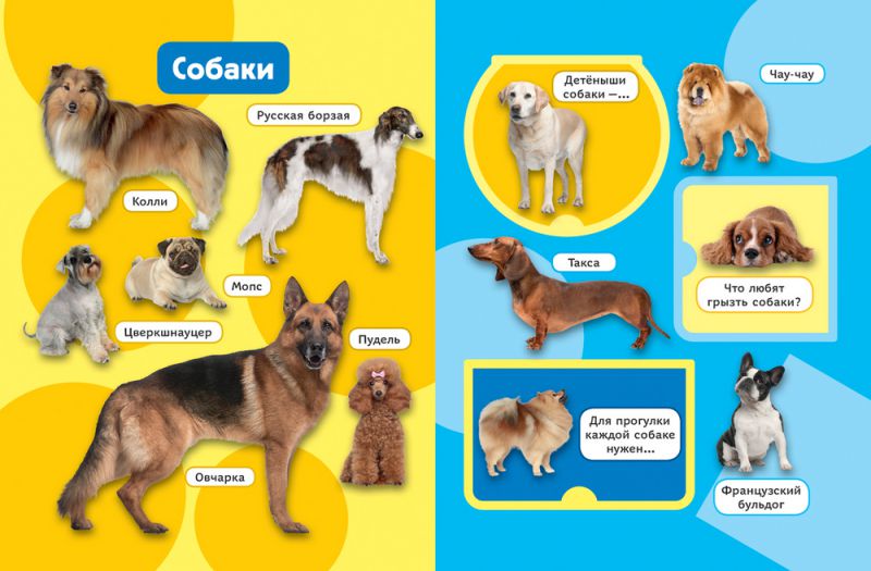 Обложка Цифры и счет. Книжка с многоразовыми наклейками, издательство РОСМЭН | купить в книжном магазине Рослит