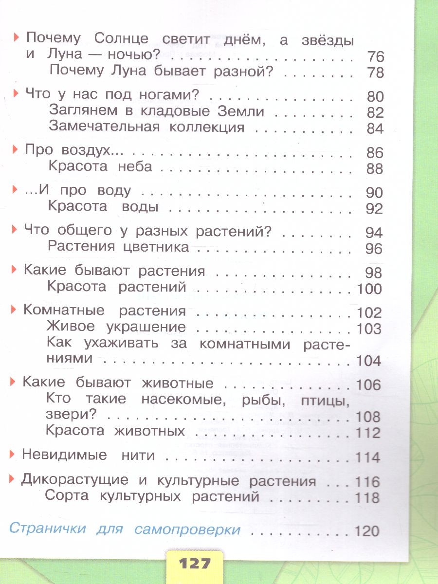 Обложка книги Окружающий мир. Первый год обучения. Часть 1. УМК "Школа России" (Эффективная начальная школа), Автор Плешаков А.А., издательство Просвещение | купить в книжном магазине Рослит