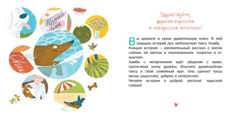 Обложка книги У самого синего моря. 30 историй для первого чтения, Автор Матвеева Е.И., издательство Просвещение/Союз                                   | купить в книжном магазине Рослит
