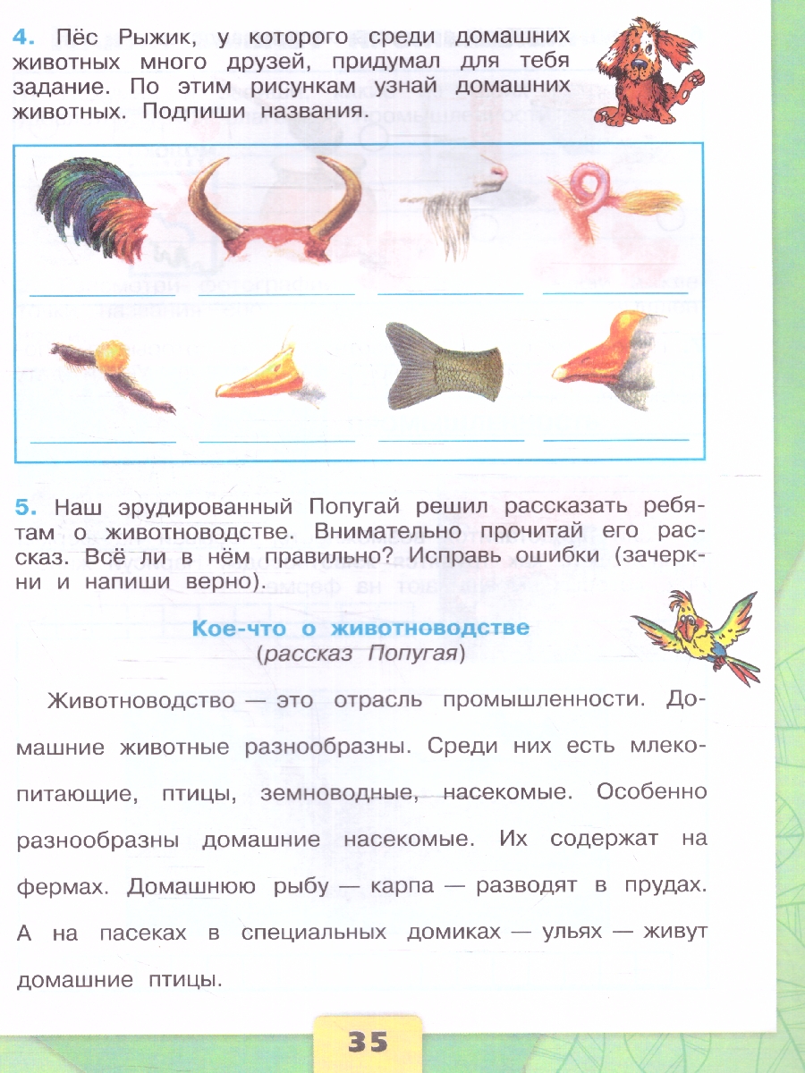 Обложка книги Окружающий мир 3 класс. Рабочая тетрадь в 2-х частях. Часть 2. УМК "Школа России" (ФП2022), Автор Плешаков А.А., издательство Просвещение | купить в книжном магазине Рослит
