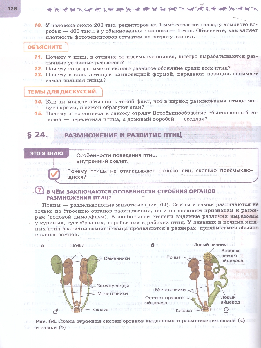 Обложка книги Биология. 8 класс. Углублённый уровень. В 2-х частях. Часть 2. Учебное пособие, Автор Суматохин С.В. Громова Н.П. Захарова Н.Ю. и  др., издательство Просвещение | купить в книжном магазине Рослит