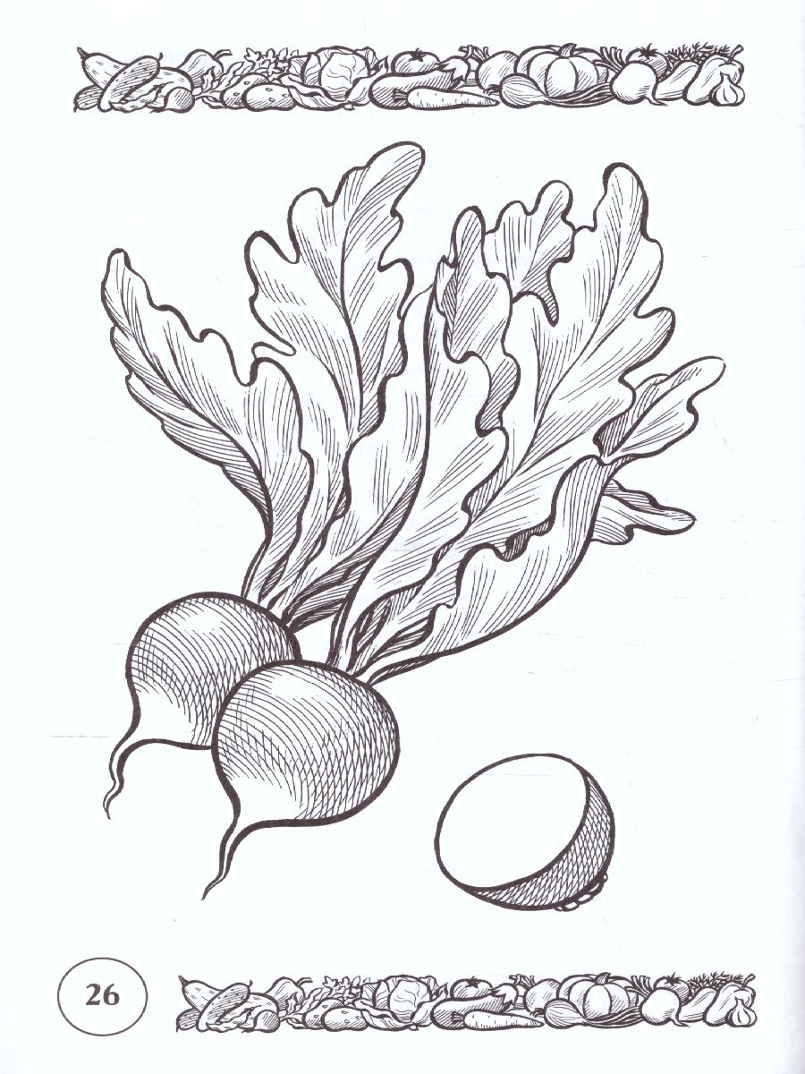 Обложка книги Стихи и речевые упражнения по теме "Овощи". Развитие речи и логического мышления у детей, Автор Кнушевицкая Н.А., издательство ГНОМ | купить в книжном магазине Рослит