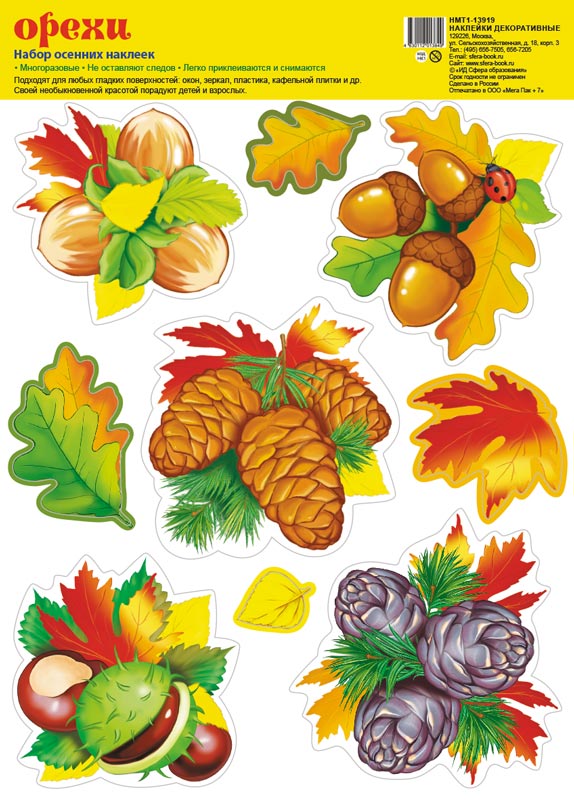 Обложка книги Набор осенних наклеек Орехи А4 НМТ1-13919 (Сфера), Автор НМТ1-13919, издательство Сфера | купить в книжном магазине Рослит