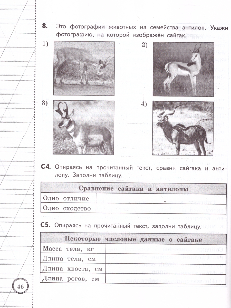Обложка книги ВСОКО Литературное чтение 3 класс. 10 вариантов. ФГОС Новый, Автор Трофимова Е. В., издательство Экзамен | купить в книжном магазине Рослит