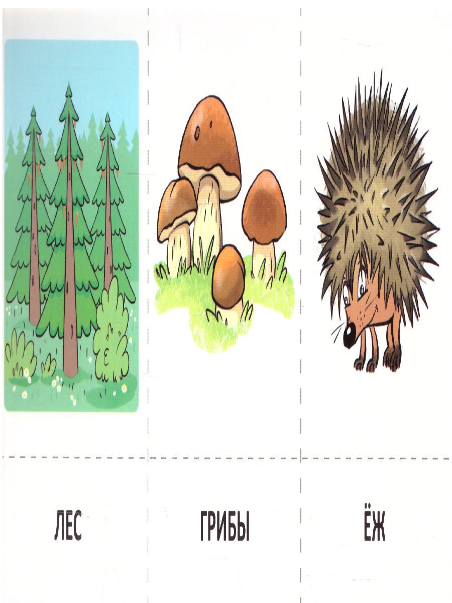 Обложка книги Набор карточек с рисунками. Предложение. Рассказ. Обучающие карточки. Для детей 4-7 лет (Сфера), Автор , издательство Сфера | купить в книжном магазине Рослит