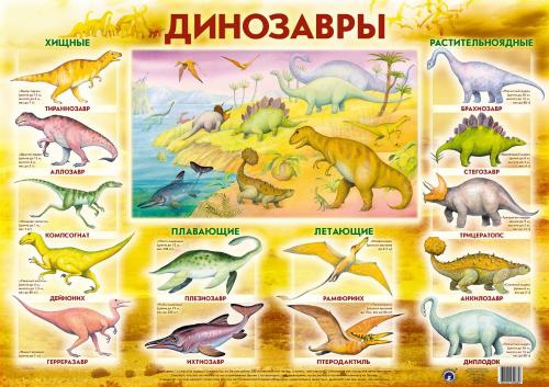 Обложка книги Плакат "Динозавры", Автор , издательство Маленький гений-Пресс | купить в книжном магазине Рослит
