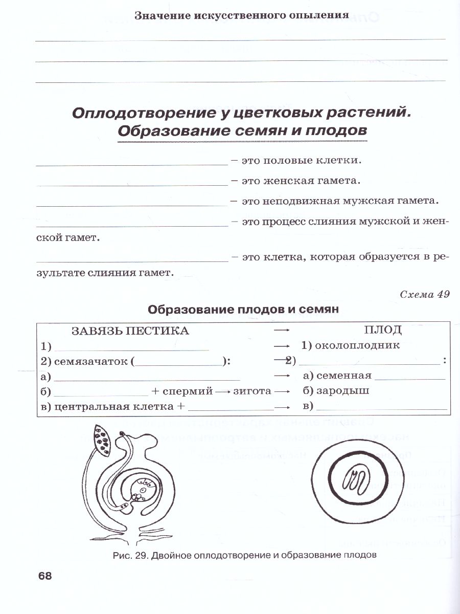 Обложка книги Биология 5 класс. Рабочая тетрадь. Растения. Бактерии. Грибы. Лишайники. К учебнику Трайтака, Автор , издательство ТЦУ | купить в книжном магазине Рослит