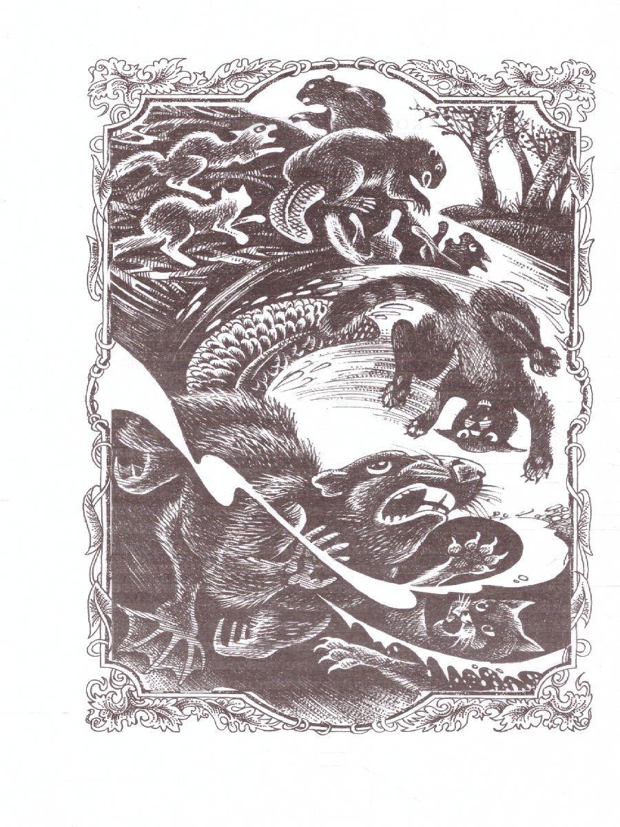 Обложка Коты-воители. Четвертый оруженосец, издательство Просвещение/Союз                                   | купить в книжном магазине Рослит