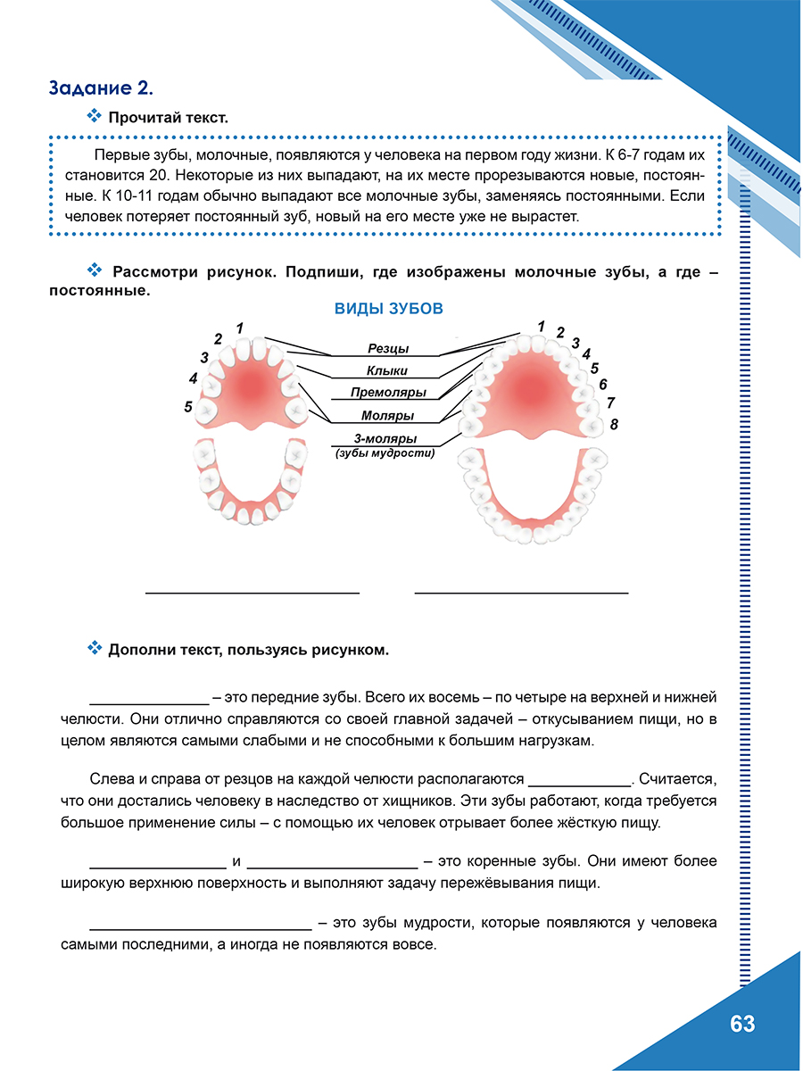 Обложка книги Функциональная грамотность. 5 класс. Тренажёр для школьников. Часть 1, Автор Буряк М. В. Шейкина С. А., издательство Планета | купить в книжном магазине Рослит