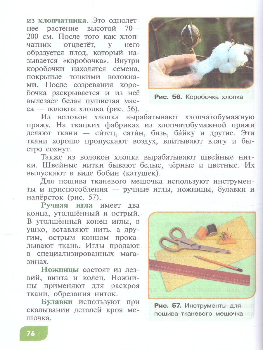 Обложка книги Технология  9 класс. Цветоводство и садоводство. ФГОС ОВЗ, Автор Карман Н. М.; Зак Г. Г., издательство Просвещение | купить в книжном магазине Рослит