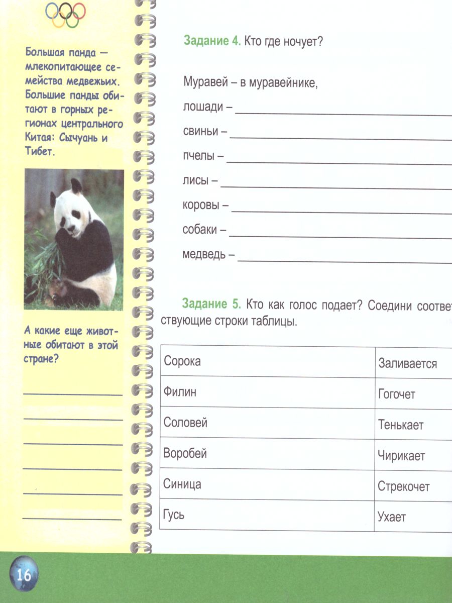 Обложка книги Окружающий мир 2 класс. Олимпиадная тетрадь. ФГОС, Автор Казачкова С.П., издательство Планета | купить в книжном магазине Рослит