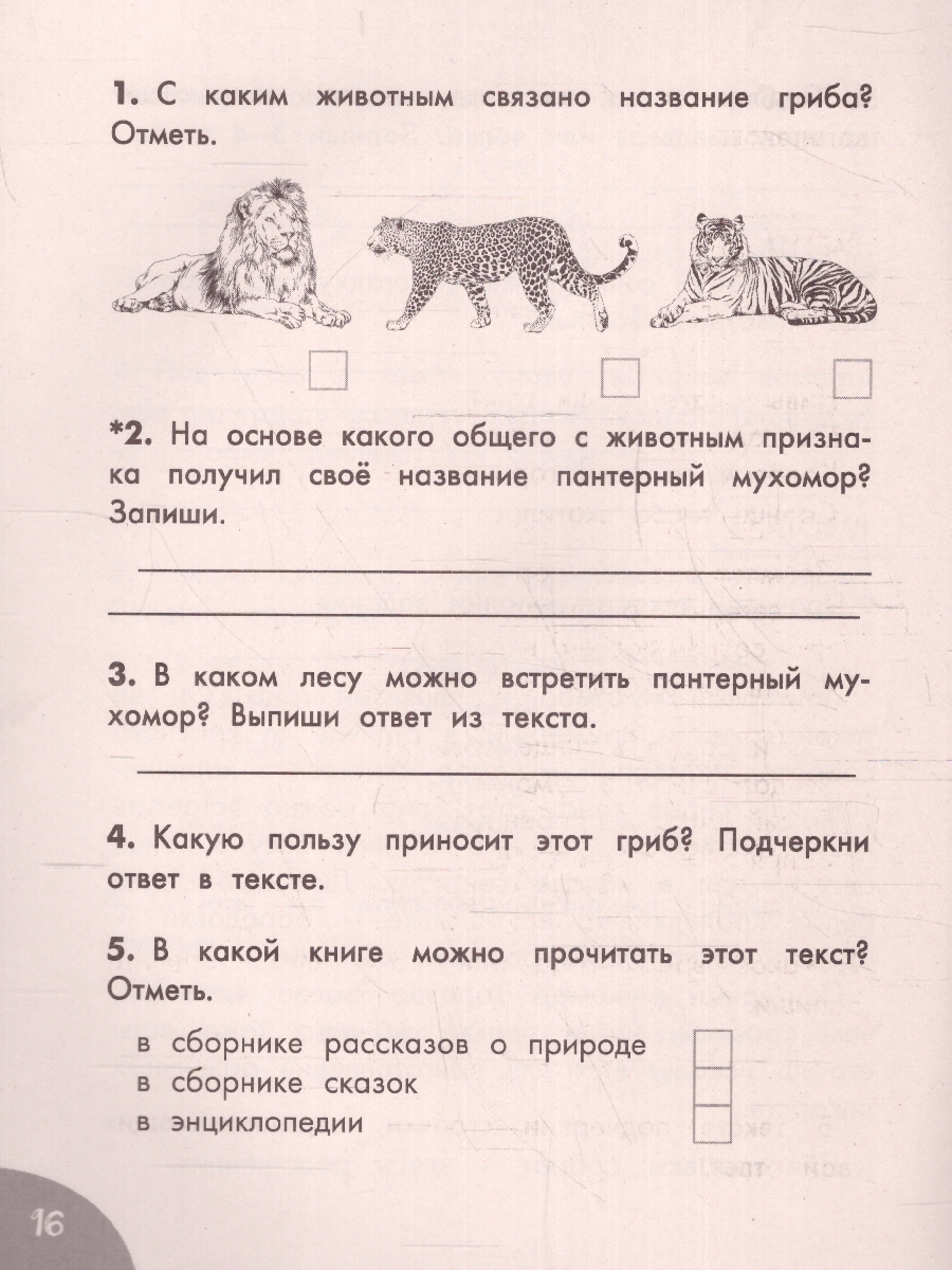 Обложка книги Функциональное чтение 1 класс. Читаю. Понимаю. Отвечаю ваш домашний репетитор, Автор Птухина А.В., издательство АСТ | купить в книжном магазине Рослит
