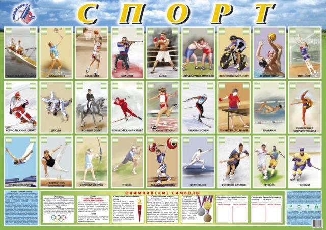 Обложка книги Плакат "Спорт", Автор , издательство Маленький гений-Пресс | купить в книжном магазине Рослит