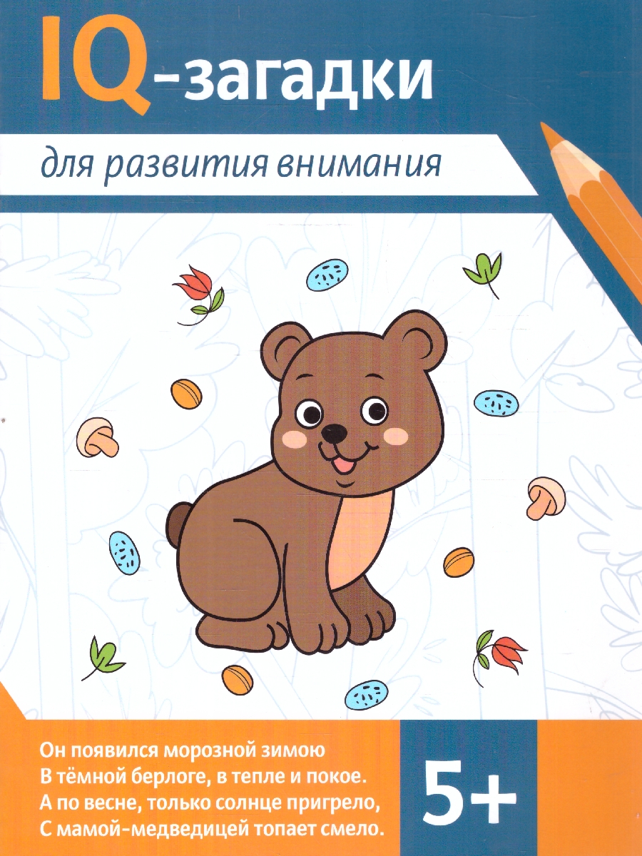 Обложка книги IQ-загадки для развития внимания: 5+, Автор Агошкова Н. С. Погосова К. В., издательство Феникс ТД                                          | купить в книжном магазине Рослит