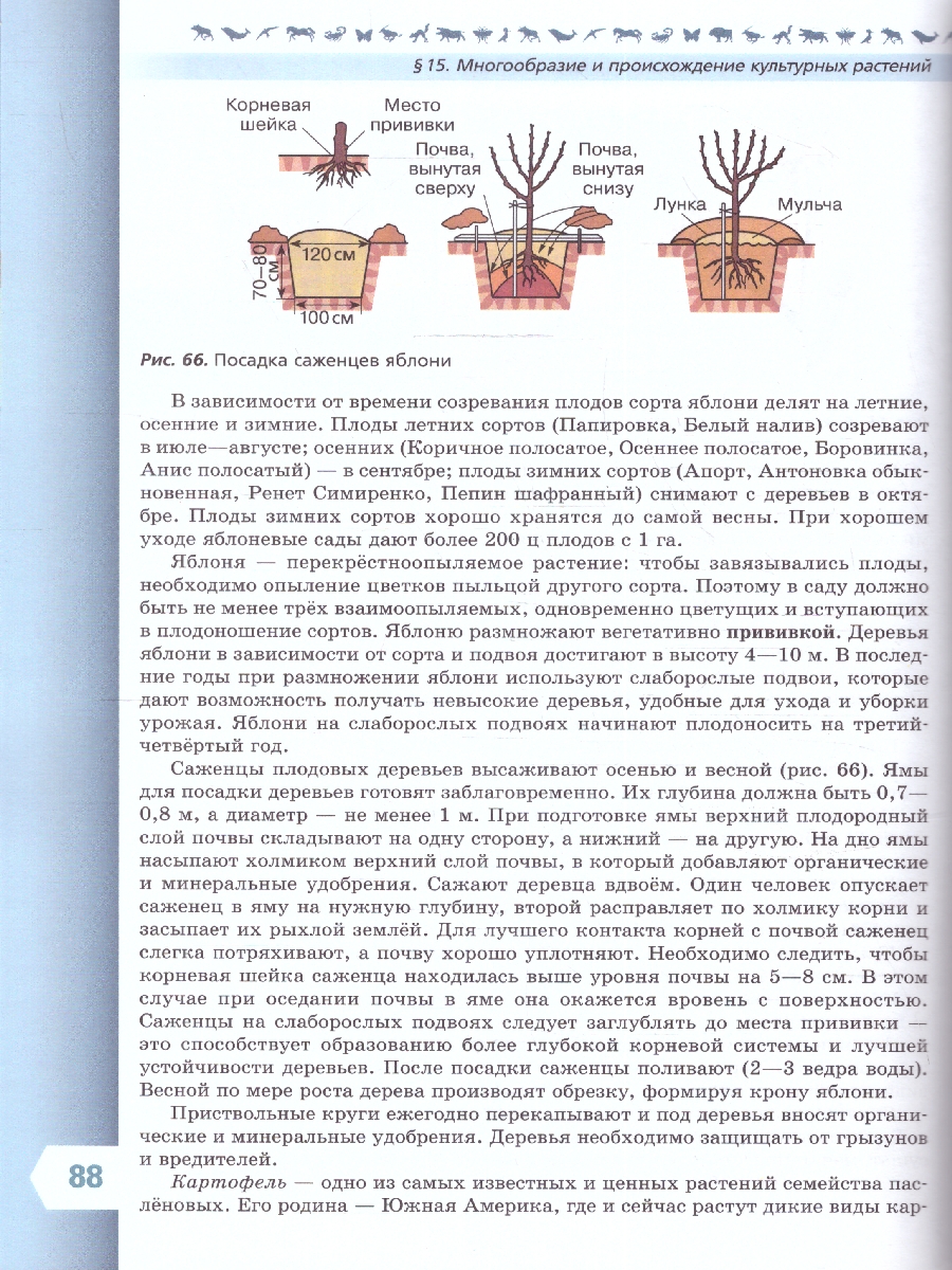Обложка книги Биология 7 класс. Базовый уровень. Учебник. УМК "Линия жизни" (ФП2022), Автор Пасечник В.В. Суматохин С.В. Гапонюк З.Г., издательство Просвещение | купить в книжном магазине Рослит