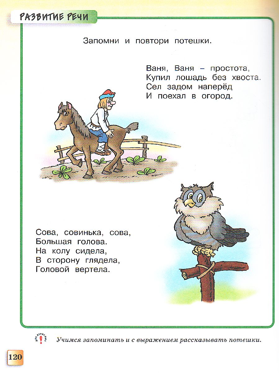 Обложка Грамотейка. Интеллектуальное развитие детей 4-5 лет, издательство Махаон | купить в книжном магазине Рослит