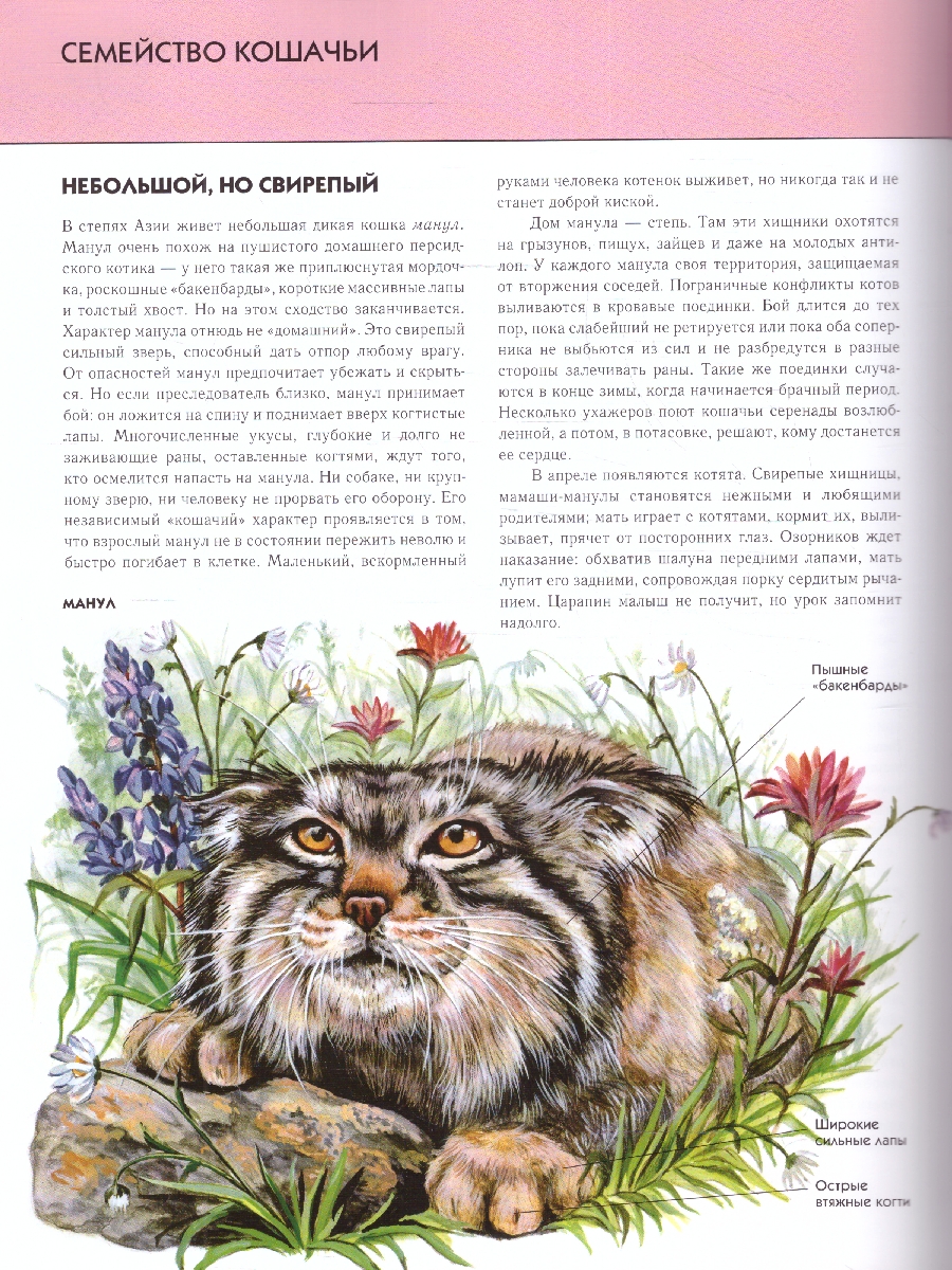 Обложка Животные. Полная энциклопедия, издательство ЭКСМО | купить в книжном магазине Рослит