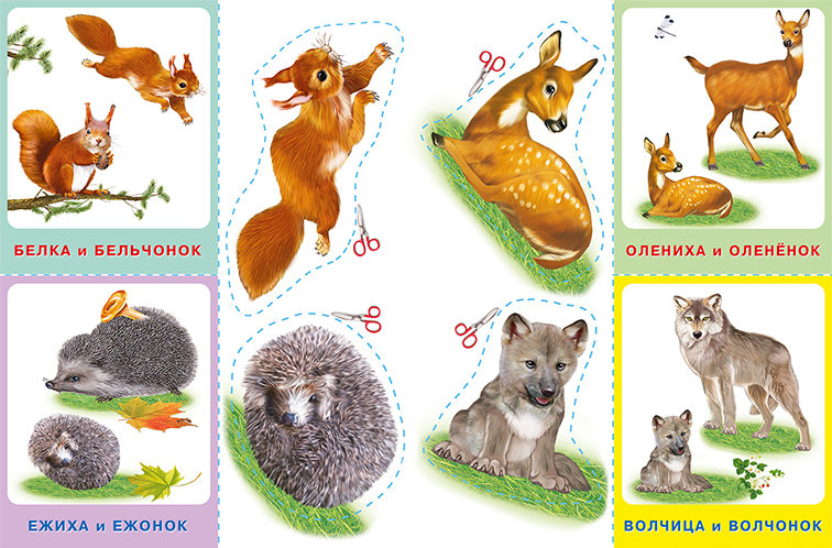 Обложка Аппликация с карточками Мама и малыши. Лесные звери(Фламинго), издательство Фламинго | купить в книжном магазине Рослит