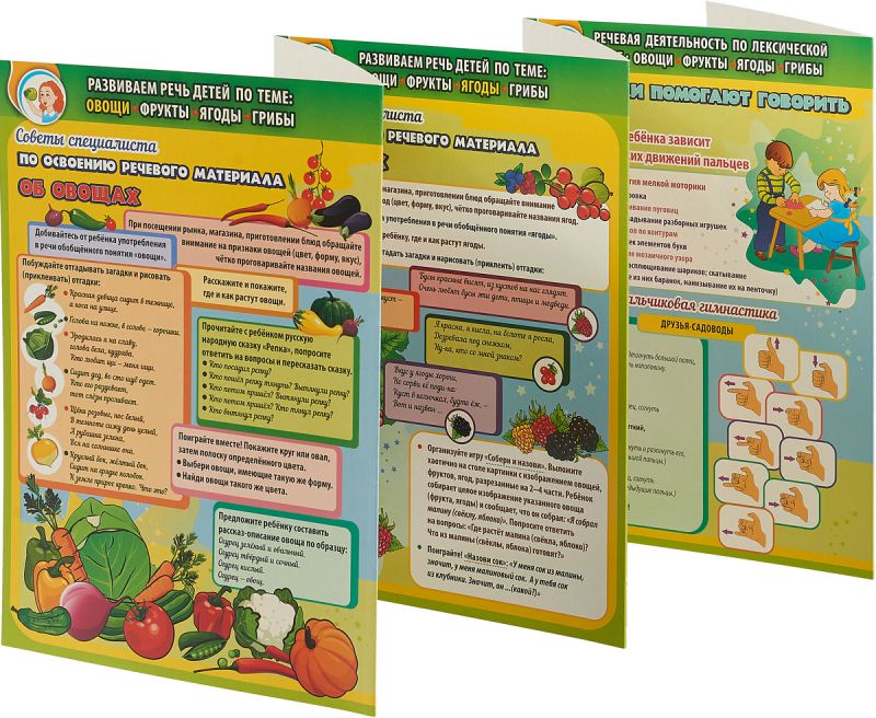 Обложка книги Развиваем речь детей 5-7 лет по лексической теме "Овощи, фрукты, ягоды, грибы". Ширмы с информацией для родителей и детей, Автор Штангруд О.А., издательство Учитель | купить в книжном магазине Рослит