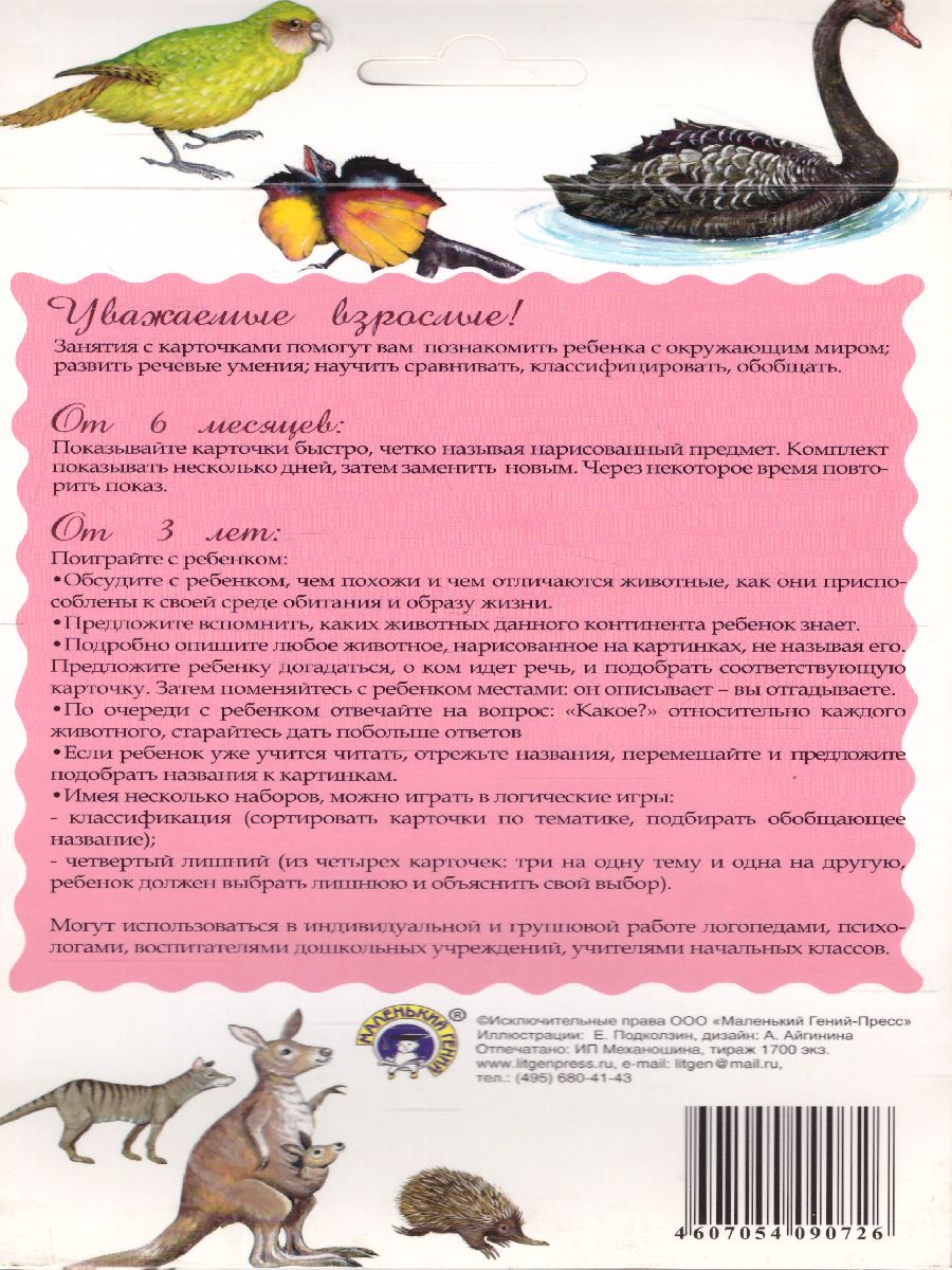 Обложка книги Дидактические карточки "Животные Австралии", Автор , издательство Маленький гений-Пресс | купить в книжном магазине Рослит