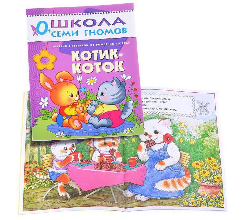 Обложка книги Школа Семи Гномов Первый год. Котик-коток, Автор Денисова Д., издательство Мозаика-Синтез | купить в книжном магазине Рослит