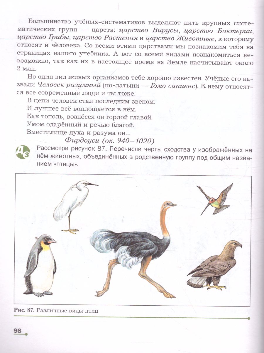 Обложка книги Биология 5-6 класс. Учебник. ФГОС, Автор Сухова Т.С. Строганов В.И., издательство Просвещение | купить в книжном магазине Рослит