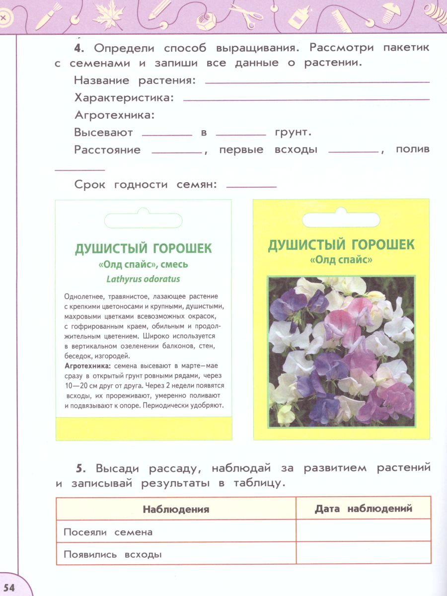 Обложка книги Технология 4 класс. Рабочая тетрадь. УМК "Перспектива", Автор Роговцева Н.И. Анащенкова С.В. Шипилова Н.В., издательство Просвещение | купить в книжном магазине Рослит