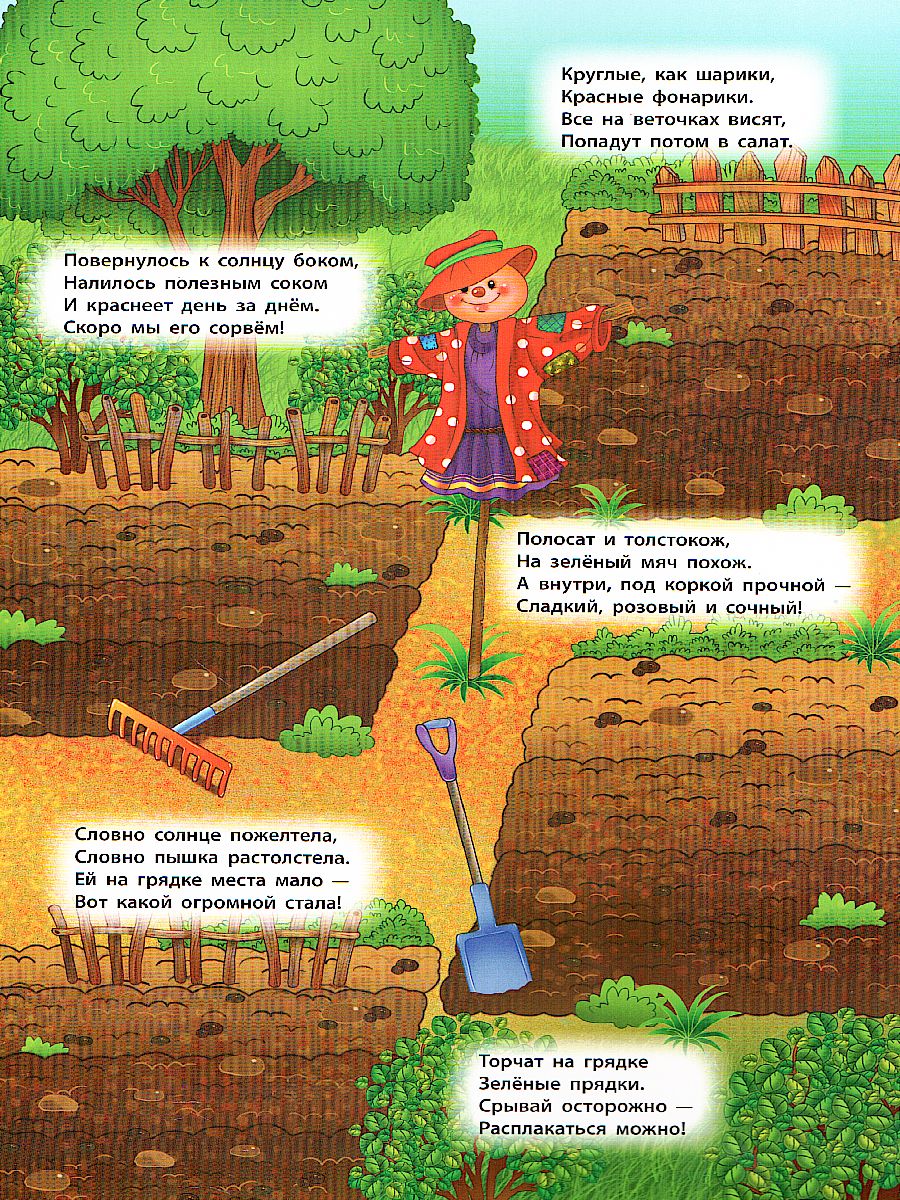 Обложка Панорамка-игра Овощи и фрукты(Росмэн), издательство РОСМЭН | купить в книжном магазине Рослит