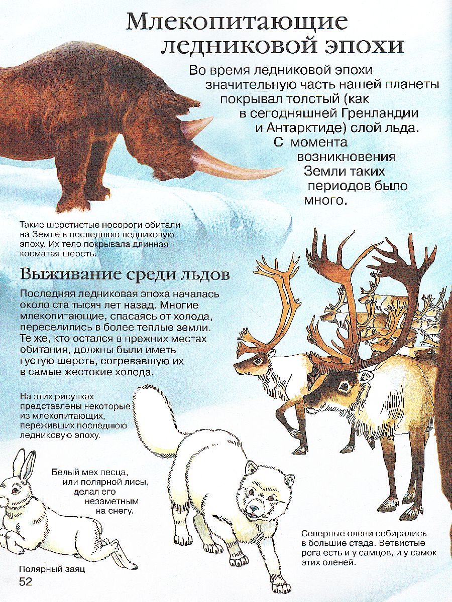 Обложка Детская энциклопедия динозавров, издательство РОСМЭН | купить в книжном магазине Рослит
