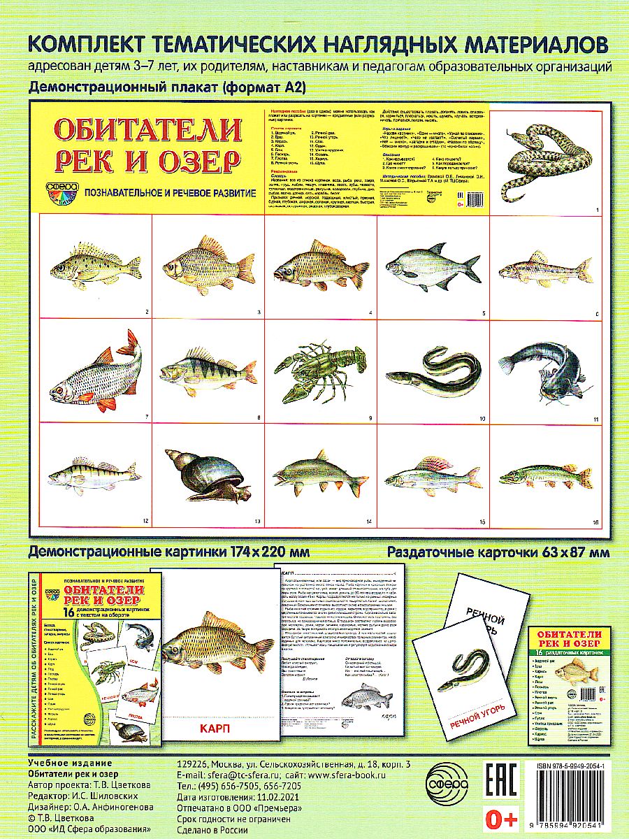 Обложка книги Демонстрационные картинки СУПЕР Обитатели рек и озер. 16 раздаточных карточек с текстом (173*220 мм), Автор , издательство Сфера | купить в книжном магазине Рослит