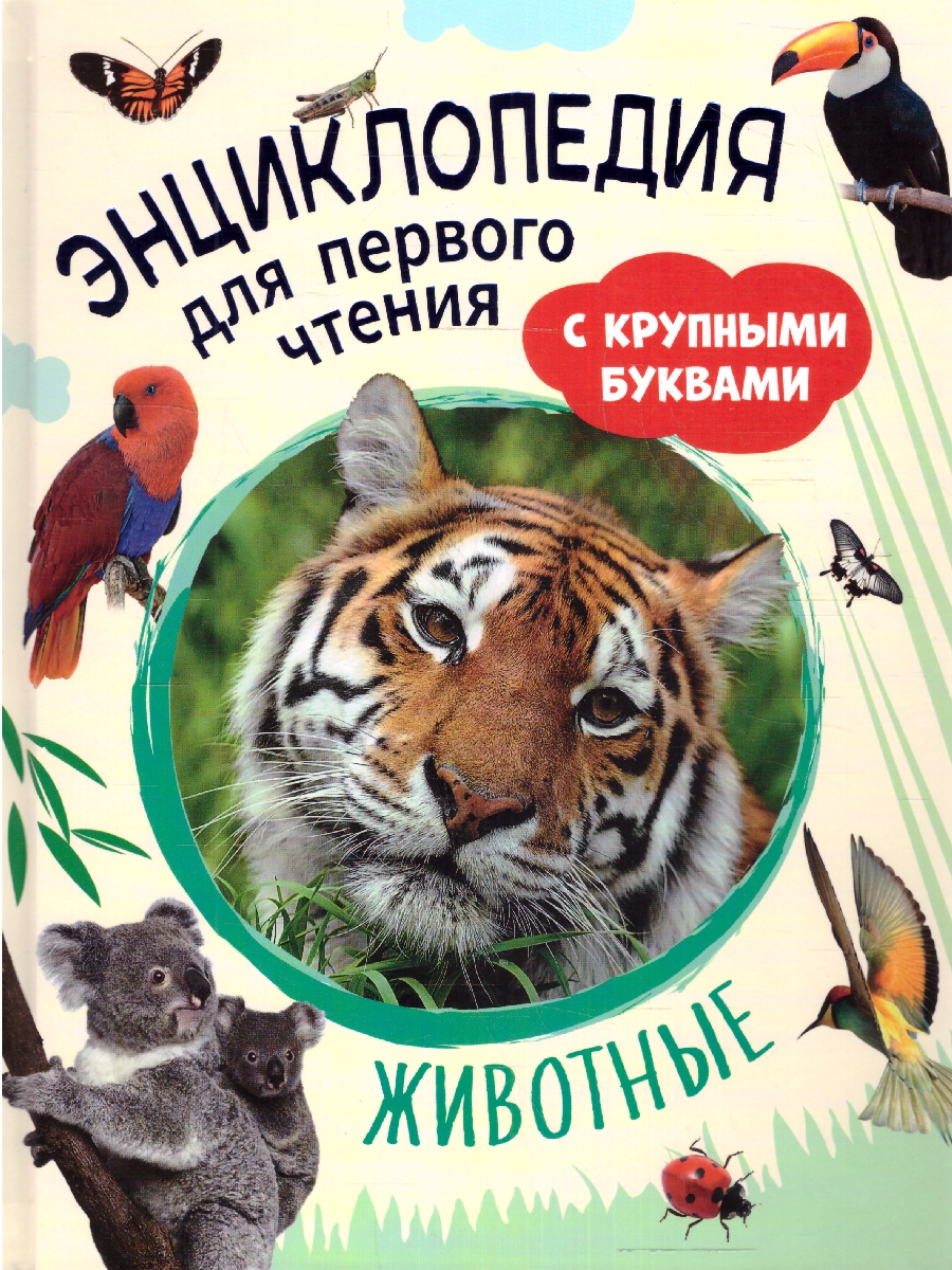 Обложка книги Животные. Энциклопедия для первого чтения с крупными буквами, изд.: Росмэн, авт.: Гальцева С. Н., Кл, Автор Гальцева С. Н. Клюшник Л. В, издательство РОСМЭН | купить в книжном магазине Рослит