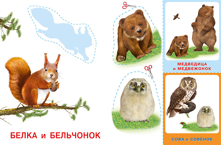 Обложка Аппликация с карточками Мама и малыши. Лесные звери(Фламинго), издательство Фламинго | купить в книжном магазине Рослит