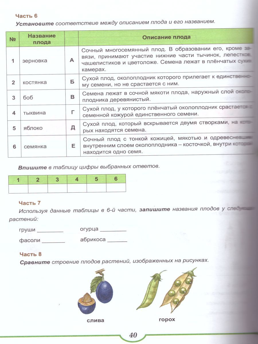 Обложка книги Подготовка к ВПР. Биология 6-7 класс. Растения. Тренажёр. ФГОС, Автор Оданович М.В., издательство Планета | купить в книжном магазине Рослит