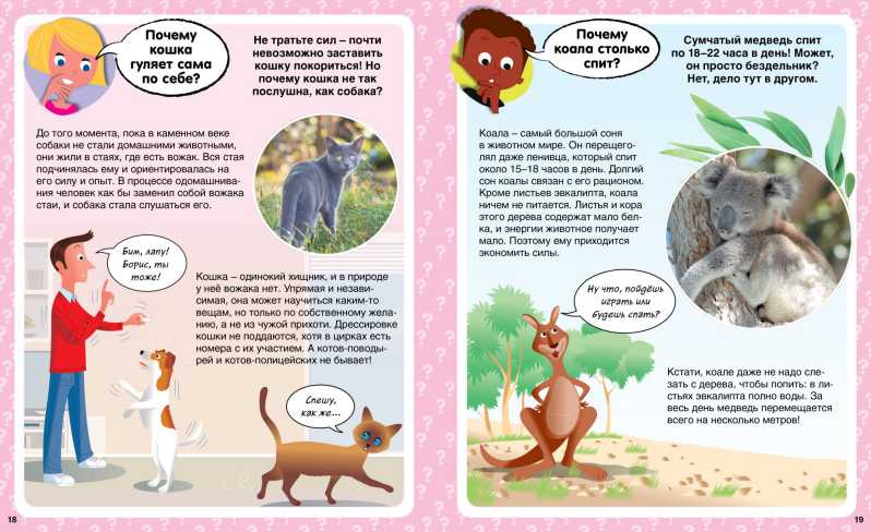 Обложка Почему? 100 вопросов и ответов в картинках, издательство Махаон | купить в книжном магазине Рослит