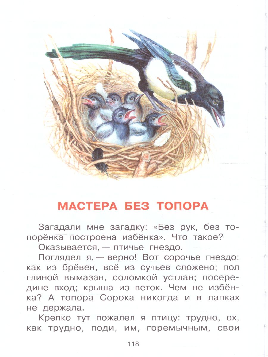 Обложка Чей нос лучше? Сказки и рассказы /СоюзМФ!(бол /superцена), издательство АСТ | купить в книжном магазине Рослит